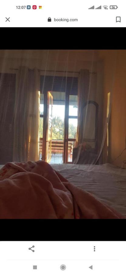 Rose Dale Homestay Procida Dış mekan fotoğraf