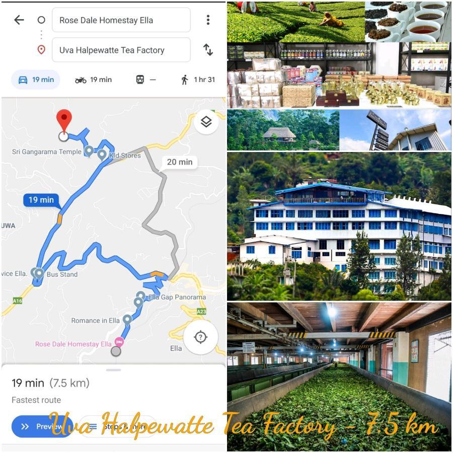 Rose Dale Homestay Procida Dış mekan fotoğraf